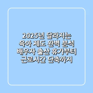 2025년 달라지는 육아 제도 완벽 분석 배우자 출산 휴가부터 근로시간 단축까지