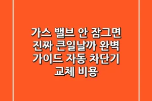 가스 밸브 안 잠그면 진짜 큰일날까 완벽 가이드 자동 차단기 교체 비용