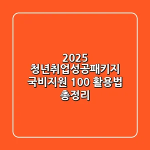 2025 청년취업성공패키지, 국비지원 100% 활용법 총정리!