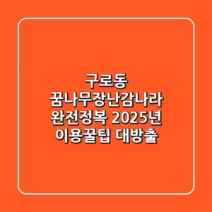 구로동 꿈나무장난감나라 완전정복: 2025년 이용꿀팁 대방출!