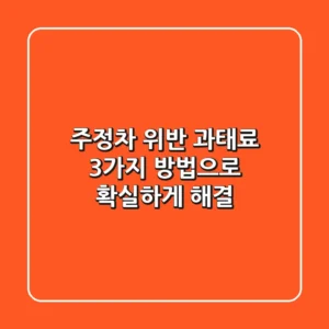 주정차 위반 과태료, 3가지 방법으로 확실하게 해결!