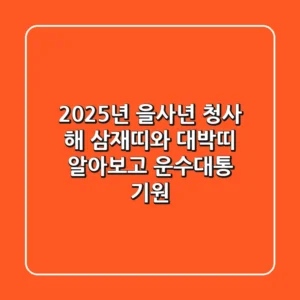 2025년 을사년, 청사 해🐍 삼재띠와 대박띠 알아보고 운수대통 기원!