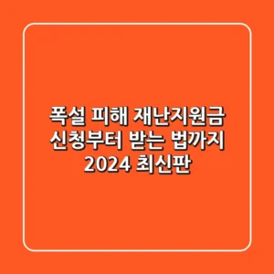 폭설 피해? 재난지원금 신청부터 받는 법까지! (2024 최신판)