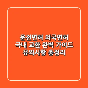 운전면허 외국면허 국내 교환 완벽 가이드: 유의사항 총정리