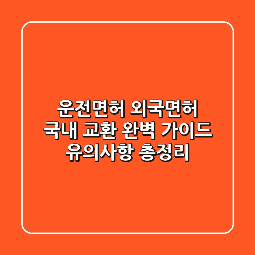 운전면허 외국면허 국내 교환 완벽 가이드: 유의사항 총정리