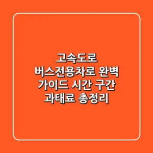 고속도로 버스전용차로 완벽 가이드: 시간, 구간, 과태료 총정리!