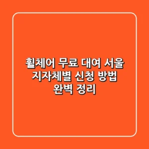 휠체어 무료 대여: 서울 지자체별 신청 방법 완벽 정리