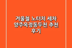 겨울철 노터치 세차, 양주/옥정/동두천 추천 후기!