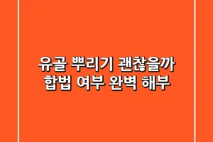 유골 뿌리기, 괜찮을까? 합법 여부 완벽 해부!