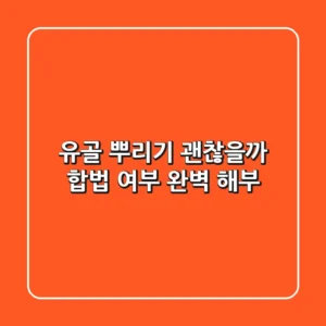유골 뿌리기, 괜찮을까? 합법 여부 완벽 해부!