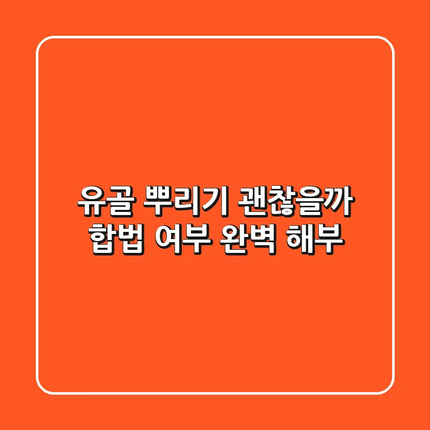 유골 뿌리기, 괜찮을까? 합법 여부 완벽 해부!