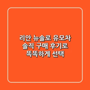 리안 뉴솔로 유모차: 솔직 구매 후기로 똑똑하게 선택!