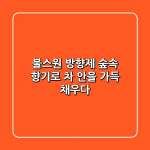 불스원 방향제: 숲속 향기로 차 안을 가득 채우다