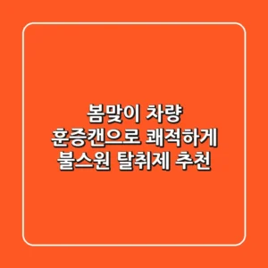 봄맞이 차량 훈증캔으로 쾌적하게! 불스원 탈취제 추천
