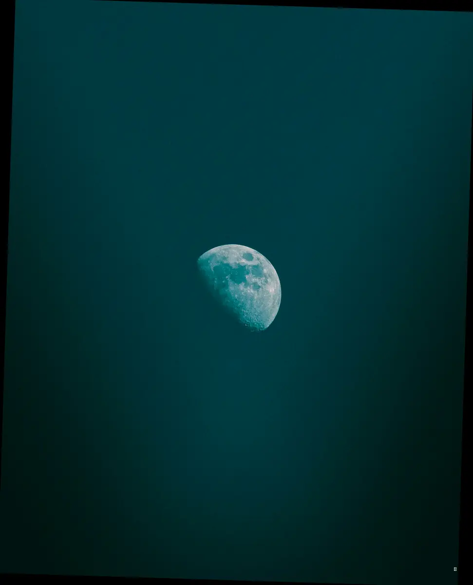 인간의 마음에도 그림자가? 문화와 심리에 드리우는 어둠 🌑