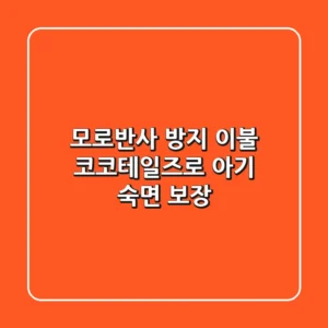 모로반사 방지 이불: 코코테일즈로 아기 숙면 보장!