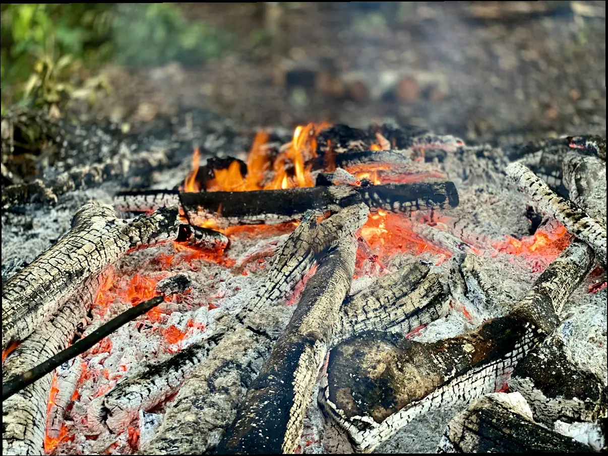 산불, 우리 모두의 노력이 필요해요!