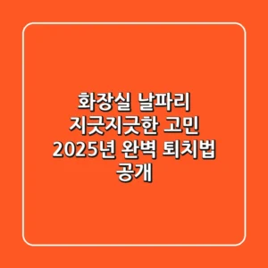 화장실 날파리, 지긋지긋한 고민? 2025년 완벽 퇴치법 공개!