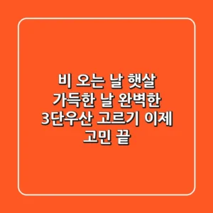 비 오는 날? 햇살 가득한 날? 완벽한 3단우산 고르기, 이제 고민 끝!
