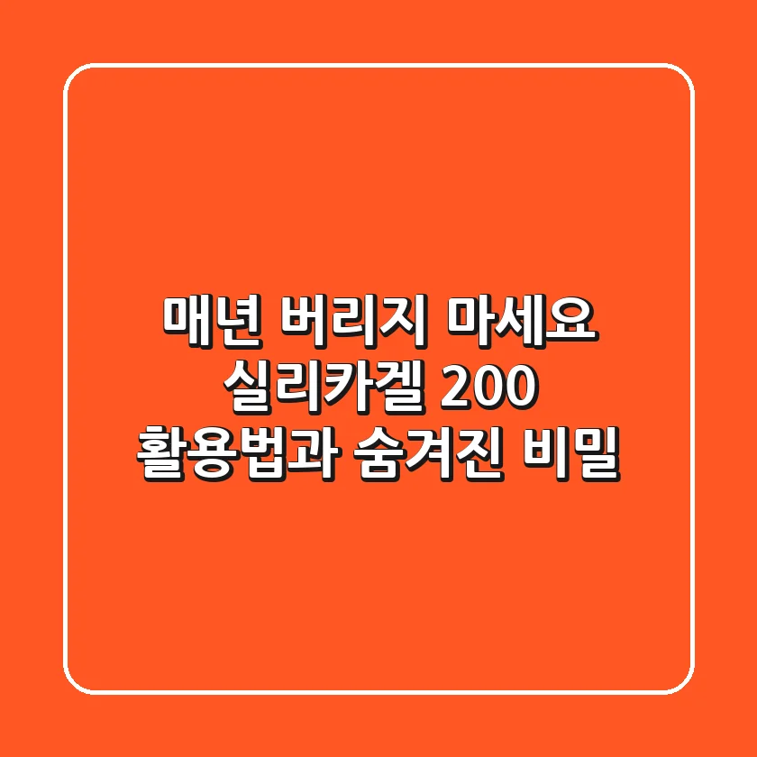 매년 버리지 마세요! 실리카겔 200% 활용법과 숨겨진 비밀