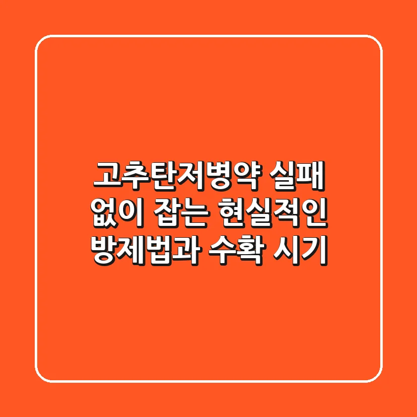 고추탄저병약, 실패 없이 잡는 현실적인 방제법과 수확 시기