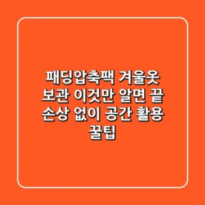 패딩압축팩, 겨울옷 보관 이것만 알면 끝! 손상 없이 공간 활용 꿀팁