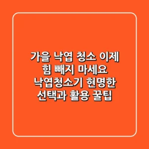 가을 낙엽 청소, 이제 힘 빼지 마세요! 낙엽청소기 현명한 선택과 활용 꿀팁