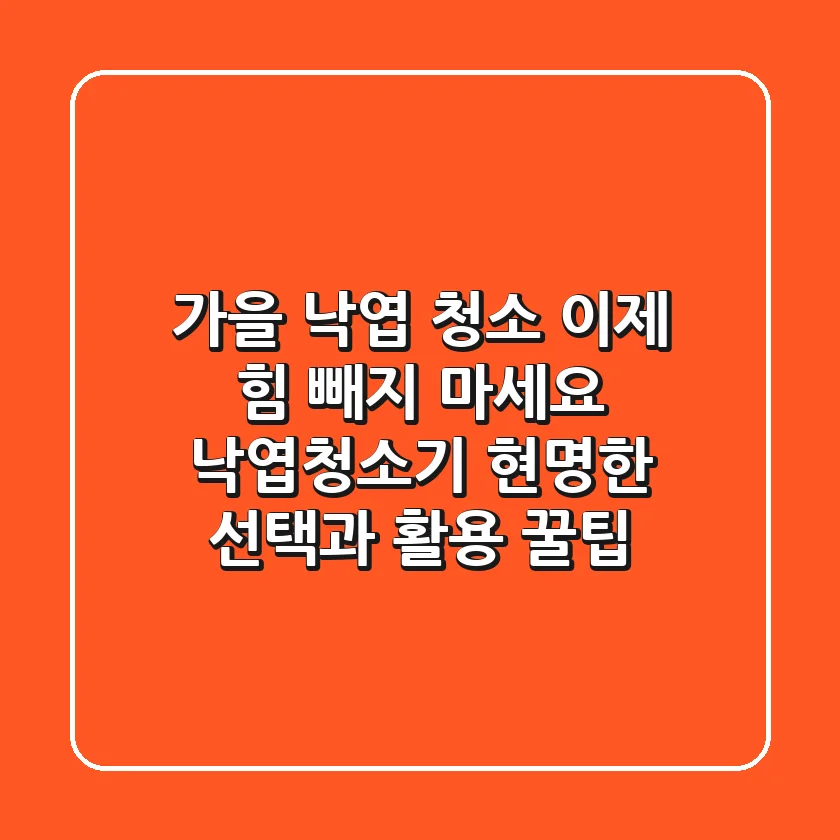 가을 낙엽 청소, 이제 힘 빼지 마세요! 낙엽청소기 현명한 선택과 활용 꿀팁