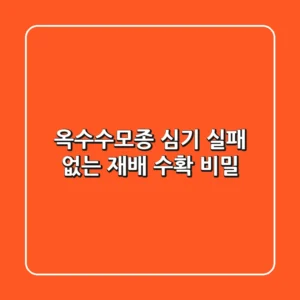 옥수수모종 심기: 실패 없는 재배 & 수확 비밀