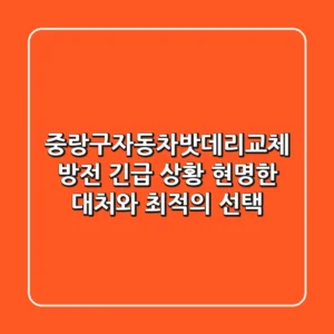 중랑구자동차밧데리교체: 방전 긴급 상황, 현명한 대처와 최적의 선택