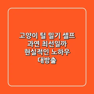 고양이 털 밀기 셀프, 과연 최선일까? 현실적인 노하우 대방출