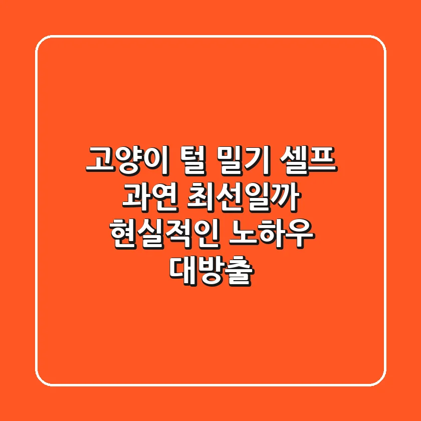 고양이 털 밀기 셀프, 과연 최선일까? 현실적인 노하우 대방출