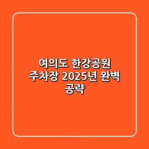 여의도 한강공원 주차장, 2025년 완벽 공략!