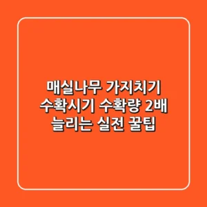 매실나무 가지치기 수확시기: 수확량 2배 늘리는 실전 꿀팁