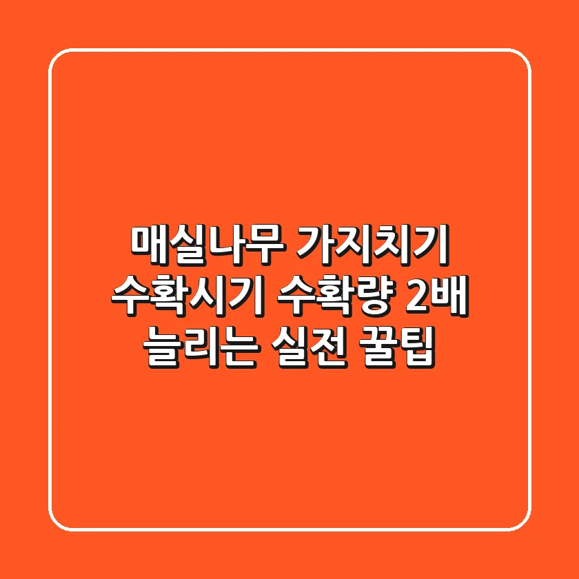 매실나무 가지치기 수확시기: 수확량 2배 늘리는 실전 꿀팁