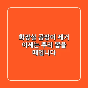 화장실 곰팡이 제거, 이제는 뿌리 뽑을 때입니다!