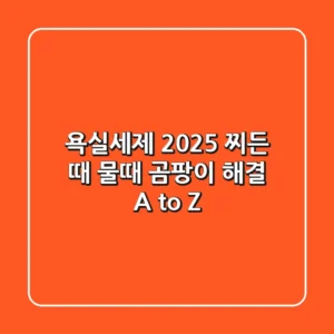 욕실세제, 2025 찌든 때 물때 곰팡이 해결 A to Z