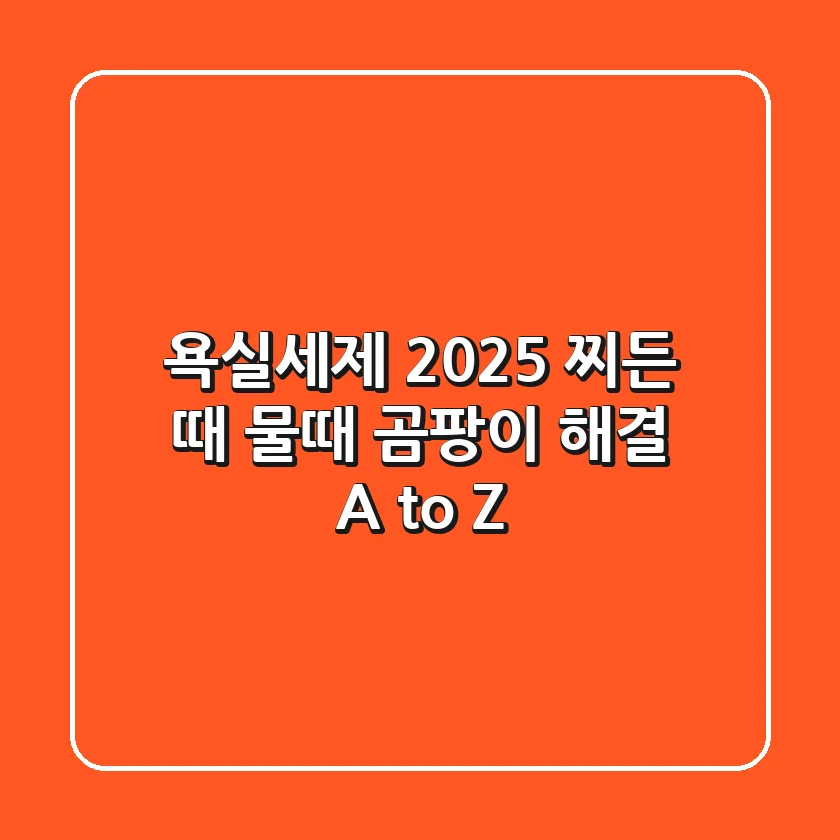욕실세제, 2025 찌든 때 물때 곰팡이 해결 A to Z