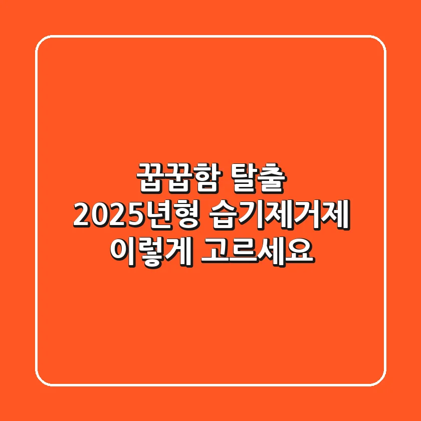 꿉꿉함 탈출! 2025년형 습기제거제, 이렇게 고르세요