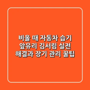 비올 때 자동차 습기, 앞유리 김서림? 실전 해결과 장기 관리 꿀팁
