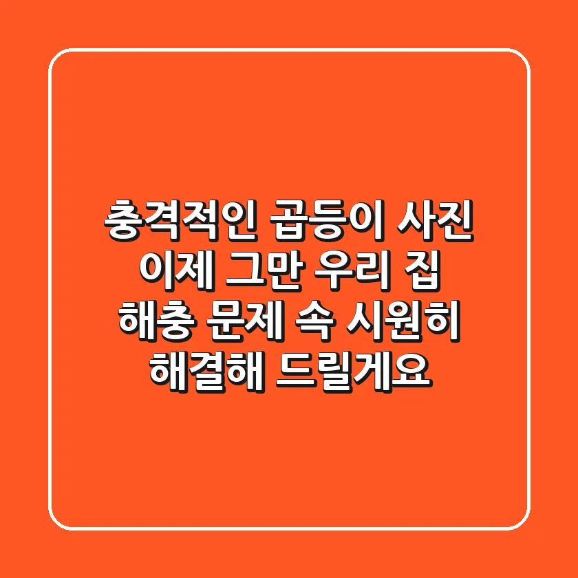충격적인 곱등이 사진, 이제 그만! 우리 집 해충 문제, 속 시원히 해결해 드릴게요