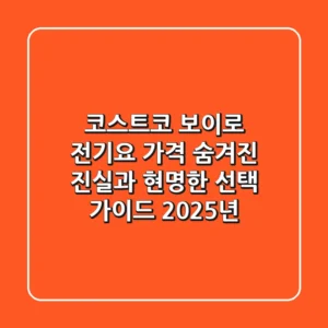 코스트코 보이로 전기요 가격, 숨겨진 진실과 현명한 선택 가이드 (2025년)