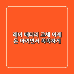 레이 배터리 교체, 이제 돈 아끼면서 똑똑하게!