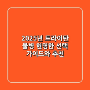 2025년 트라이탄 물병, 현명한 선택 가이드와 추천