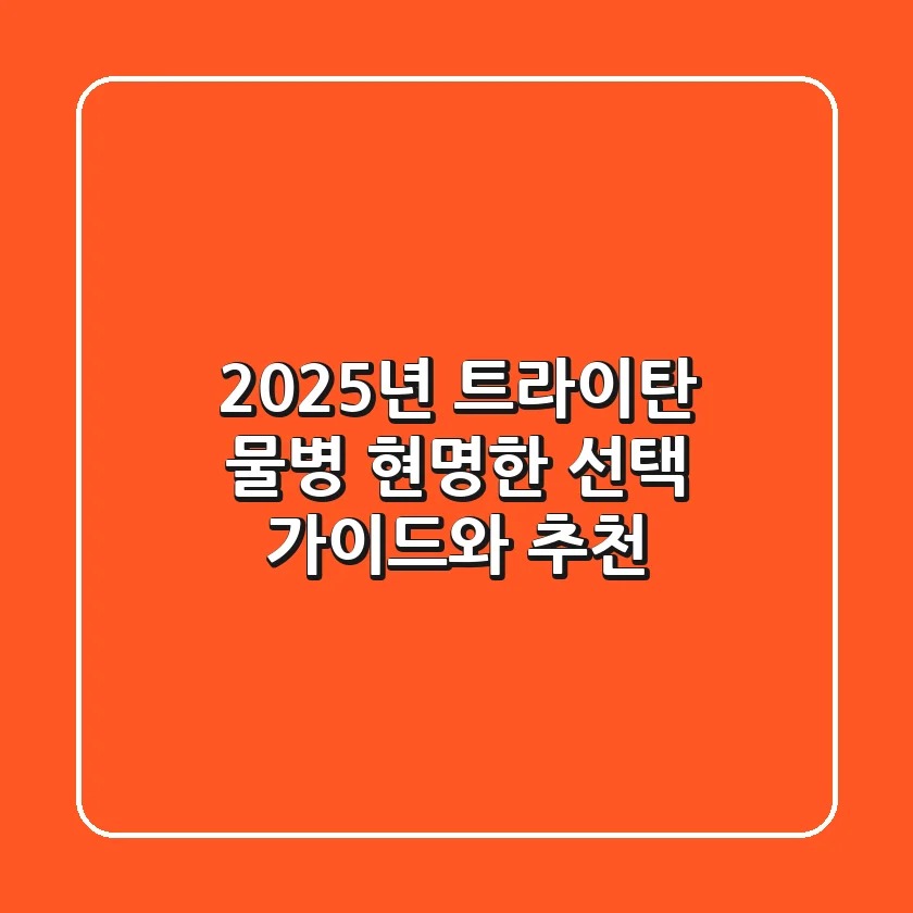 2025년 트라이탄 물병, 현명한 선택 가이드와 추천