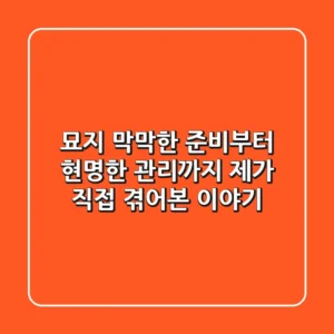 묘지, 막막한 준비부터 현명한 관리까지: 제가 직접 겪어본 이야기