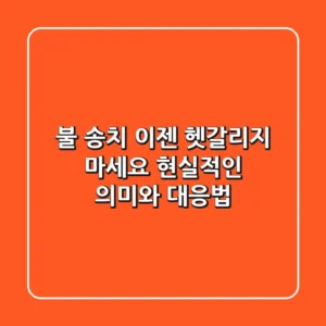 불 송치, 이젠 헷갈리지 마세요! 현실적인 의미와 대응법