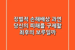 징벌적 손해배상, 과연 당신의 피해를 구제할 최후의 보루일까?