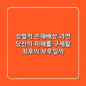 징벌적 손해배상, 과연 당신의 피해를 구제할 최후의 보루일까?