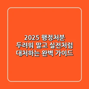 2025 행정처분, 두려워 말고 실전처럼 대처하는 완벽 가이드